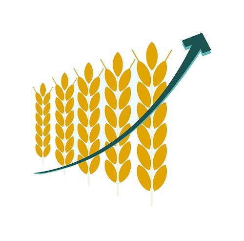 Increasing crop yield